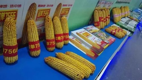 第十四届中国国际农产品交易会在昆明国际会展中心举办.